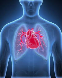 Image result for Hypertension