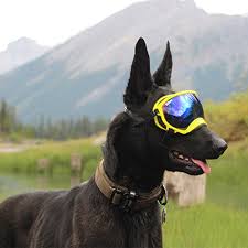 Rex Specs Dog Goggles