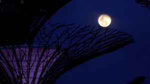 La luna llena de abril, también conocida como la luna rosada, es la más cercana del año. Xyrn Tzxbtxoem