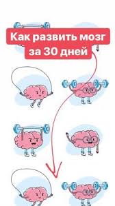 фитнес для мозга или как стать умнее читать онлайн 8 Sovetov Kotorye Pomogut Luchshe Zapominat I Bystree Obrabatyvat Informaciyu Zdorove Mozga Napryamuyu Zavi Mozg Uprazhneniya Obrazovatelnye Sajty Samomotivaciya