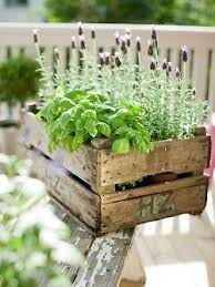 Idee Pour Cacher Les Vilains Pots En Plastique Qu On Achete Une Petite Cagette En Bois Diy Container Gardening Plants Garden Inspiration