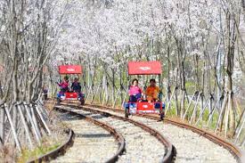 To get the cent/km or rm/km, just divide rm10 with 50km which will show you the result of fuel consumption of rm0.20/kilometer. Asyiknya Mengayuh Sepeda Di Atas Rel Kereta Di Korea News On Rcti