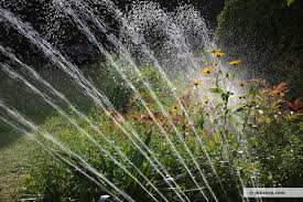 Automatische bewässerungssysteme für garten und balkon: Bewasserung Mit Rain Bird Erfahrungen Von Anwendern
