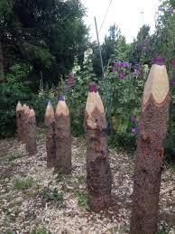 Garden Growing Pens Garten Deko Garten Deko Blumen