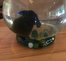 TW Pornstars - Farrah Dahl. Twitter. Hey @ryderskyexxx - this fish was  named after you 😜. 5:30 PM - 18 Aug 2019