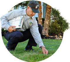 It's fast, free & easy! Lawn Care In Avon Lawn Doctor Of Avon North Ridgeville