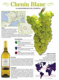 Chenin Blanc Fyi Uvas Para Vino Cepas De Vino Vinos Y Quesos