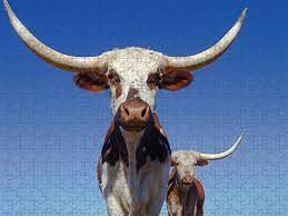 Rally house even has something for the . Texas Longhorns And Blue Sky Puzzle For Sale By Mark Miller Photos