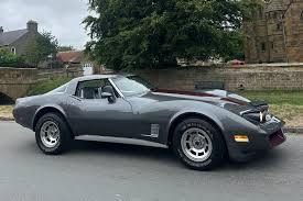 Image result for Charcoal 1981 Corvette