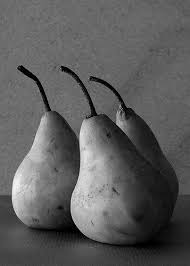 Black And White Still Life Photography Fruit Bosc Pears By Espion Still Life Photography Still Life Drawing Pear Art