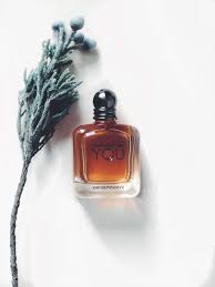 4.7 out of 5 stars 258. Afratheblogger Giorgio Armani Emporio Armani Stronger With You