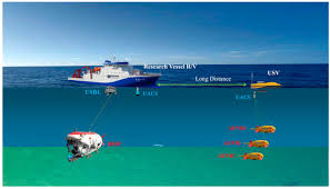 Image result for Blue Seta 2009 159