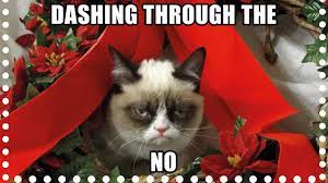 Check spelling or type a new query. Grumpy Cat Christmas Memes Youtube