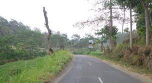 Matraman raya no.44 jakarta timur jl. Melintas Jalur Alternatif Malang Dan Blitar Lewat Selorejo Ngalam Co