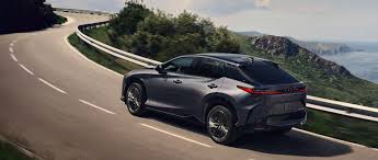 Image result for Black Onyx 2023 RZ