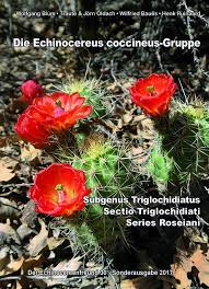 Often referred to as the strawberry hedgehog cactus, this plant features bright magenta flowers and is common in deserts of. Literatur Archive Echinocereus Online