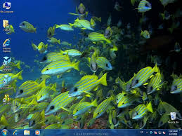 Uses your personal videos con: 49 Dreamscene Video Wallpaper 2 5 On Wallpapersafari