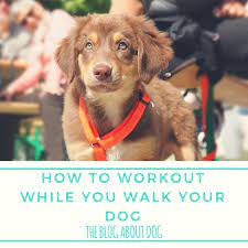 How To Workout While You Walk Your Dog - The Blog About Dog Dog Training Your Dog Dog Boarding Near Me