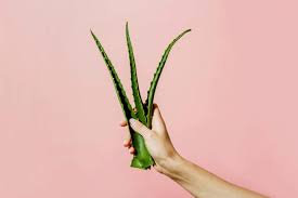 7 Natural Remedies For Heartburn And Acid Reflux To Try At Home