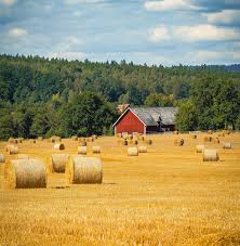 Image result for tbn:0PJB32OL7JwfOM::farm4.static.flickr.com/3324/3329876139_f2d551139f.jpg