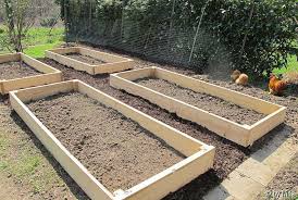 Friendly gardening forums for all your plant, fruit and vegetable questions. Garten Pur Forum Brittashandarbeitsecke