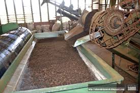 Sabah tea merupakan salah satu tempat tumpuan pelancong yang bercuti ke sabah. Sabah Trip Ladang Tea Sabah Nalapak Ranau Sabah Www Sobriyaacob Com