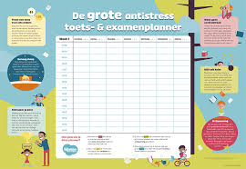 Toetsen En Examens Plannen Zonder Stress Studievaardigheden Toetsen Studietips