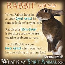 When i woke the next day there was a huge jackrabbit dead on my back porch. Rabbit Symbolism Meaning Spirit Totem Power Animal
