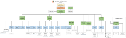 organizational chart facilities and operations facilities