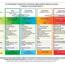 Autonomic Nervous System Table Laminated Card Babette