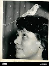 Sono il numero quattro immagini e fotografie stock ad alta risoluzione