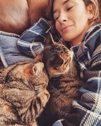 Lost for 4 months, Corduroy the cat survives 2 snowstorms and finds his way  home