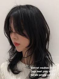 17 ide Wolf Haircut Recommendation teratas di 2024