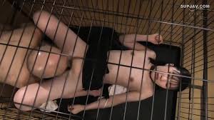 Pure Love Girl In A Cage A Girl Who Fell In Love With A Perverted Teacher  Accepts All Of The Man ... A Pure Love Pet That Is Too Distorted And A  Confinement Teacher Uika Noa