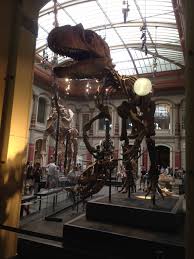 Naturkundemuseum Berlin Der Frankische Museumsbote