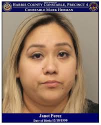 Police: Intoxicated mother plows into Spring home with two children in car