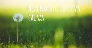 L'aracnoidite è una condizione infiammatoria dell'aracnoide, una delle membrane note come meningi che circondano e proteggono i nervi del sistema nervoso centrale, inclusi il cervello e il midollo spinale. Quais Sao As Causas De Aracnoidite Adesiva