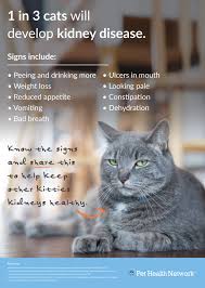 Did You Know 1 In 3 Cats Will Develop Kidneydisease Pethealthnetwork Sdma Cat Diseases Cat Illnesses Cat Care