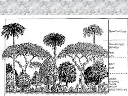 Soil Building Techniques Part 2 Permaculture Design Course Handbook Permaculture Design Course Permaculture Design Permaculture