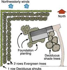Pin By Lakedog Vintage On Garden Ideas Acreage Landscaping Windbreak Trees Windbreaks
