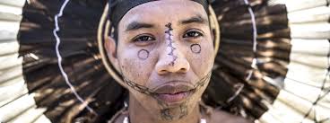 Sounding off strategies to use the Amazon sustainably