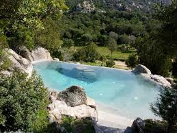 Biodesign Final 600 Jpg 650 488 Pool Im Garten Gartenpools Swimming Pool