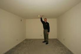 Of course there are some other things to consider to have a unique ceiling applied for example it if no proper to have a colorful ceiling in a hall. Great Design Ideas For Low Basement Ceilings Eabis Org