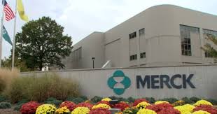 Msd, as part of a collaboration with ridgeback biotherapeutics, is conducting phase iii trial of the. Us Merck Axes Two Covid 19 Vaccines Focuses On Therapies Instead