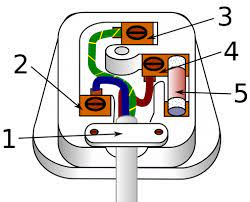 Collection of unlabelled diagram of the heart (38) heart blood circulatory system diagram labeled heart diagram unlabeled source: How To Change A Plug Static Electrical Services Blog