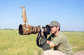 20 Pictures Showing That Nature Photographers Have The Best Jobs Ever Wildlife Photography Meerkat Funny Animals