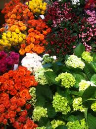Maybe working with whole foods can lead to a nationwide deal or an opportunity to sell directly to amazon. Beautiful Flowers Whole Foods Market Austin Boho Circus