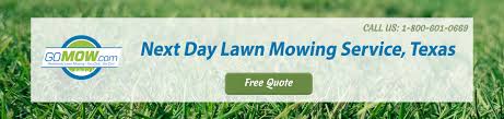 Looking for residential lawn care and maintenance services in your area? Five Lawn Care Maintenance Mistakes You Re Probably Making Gomow