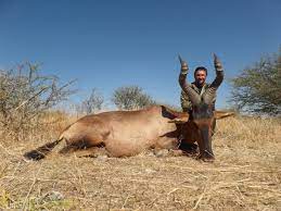 As hunting land, open to the public, diminishes and game populations dwindle, the american heritage hunting club is here to keep traditions alive. Hunt On Interessting Game On Progress Farm Namibia Huntermeetshunter
