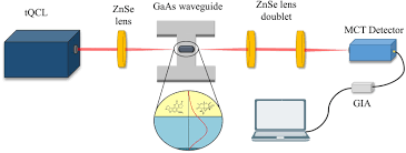 Stainless steel kitchen utensil set of 25 cooking utensils. Portable Infrared Laser Spectroscopy For On Site Mycotoxin Analysis Scientific Reports